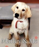 Marley and Me by John Grogan